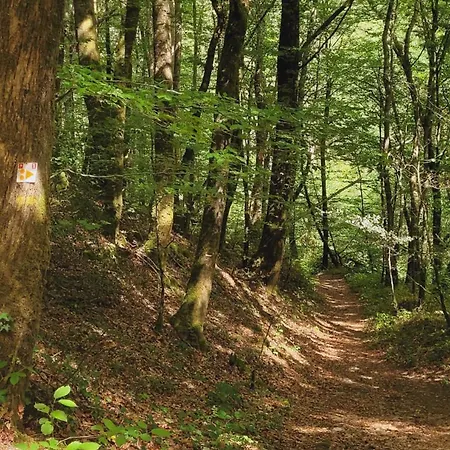 De Reves En Chemins 3*
