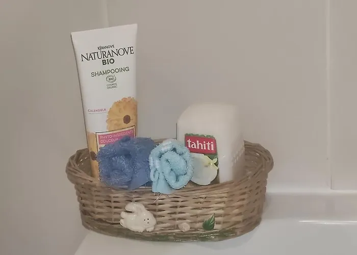 住宿加早餐酒店 Mon Plaisir